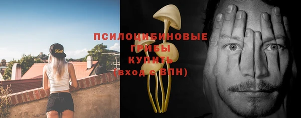 гашик Надым