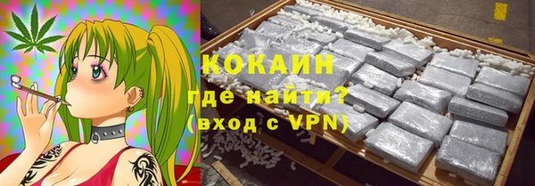 гашик Надым