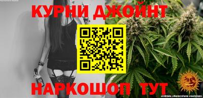 индика Гусев