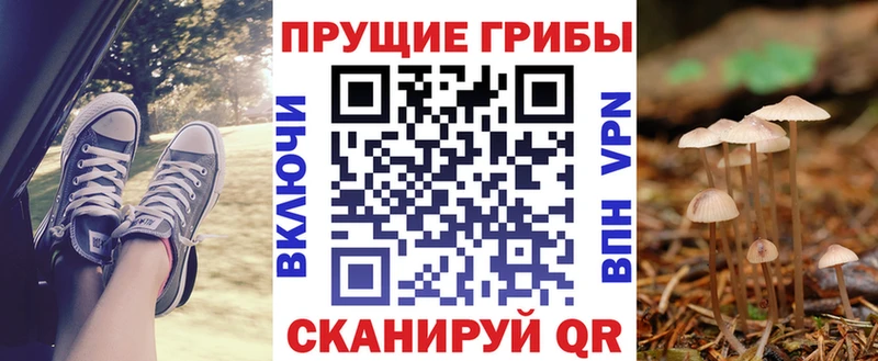 ссылка на мегу ССЫЛКА  Мурманск  Галлюциногенные грибы MAGIC MUSHROOMS 