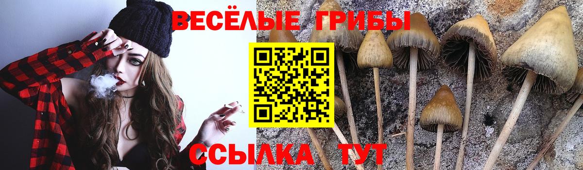 Псилоцибиновые грибы Psilocybine cubensis  Вход с VPN  Мурманск 
